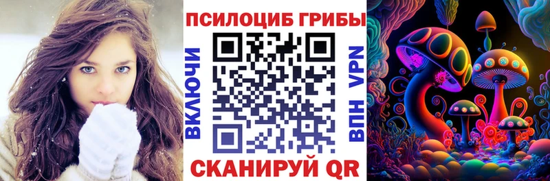 гидра рабочий сайт  Чекалин  Псилоцибиновые грибы ЛСД 